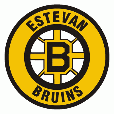 Estevan Bruins 1999-Pres Primary Logo iron on transfers for clothing